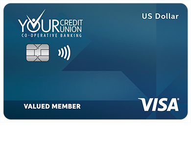 USDollarVisa2.jpg